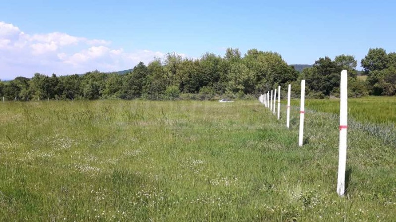 На продаж  Сюжет область Бургас , Росен , 9000 кв.м | 44080894 - зображення [2]