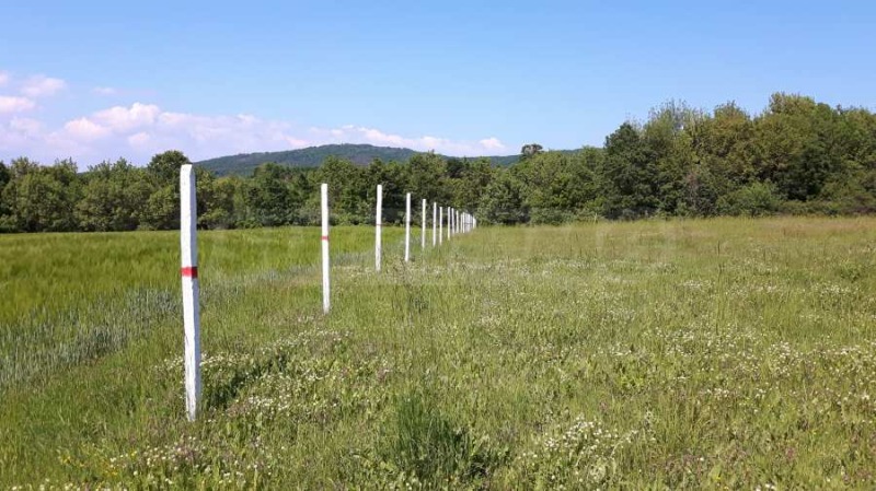 На продаж  Сюжет область Бургас , Росен , 9000 кв.м | 44080894 - зображення [5]