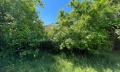 Продава  Къща област Добрич , с. Преспа , 50 кв.м | 14494104 - изображение [8]