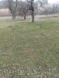 Продава ПАРЦЕЛ, област София, гр. Правец • 35360 € • 33813566 — Holmes.bg