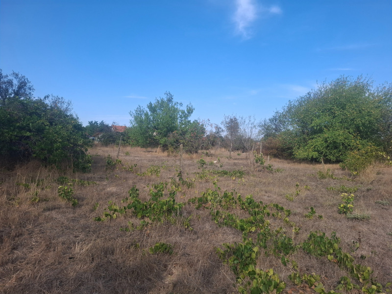 Продава ПАРЦЕЛ в област Варна, с. Доброглед - 727 кв.м / 26 000 € » 50 851.58 лв., ИМОТ КОНСУЛТ