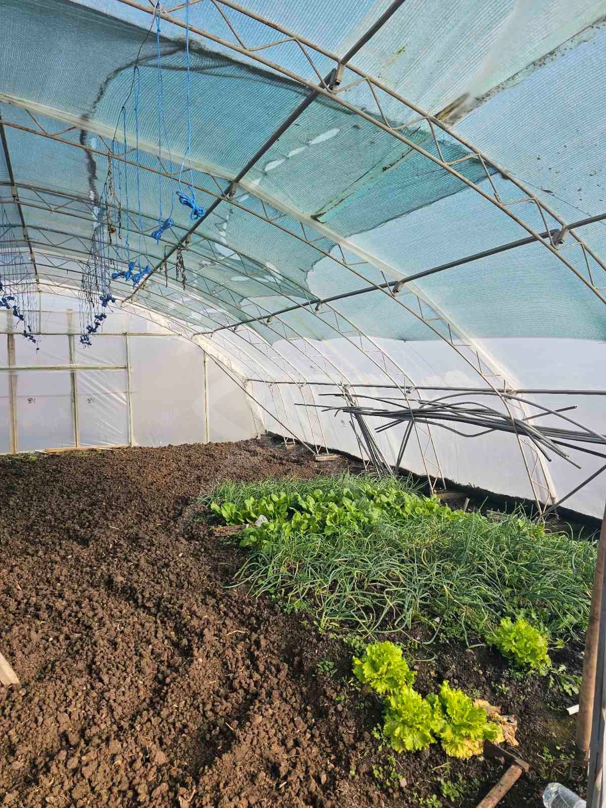 Продава ПАРЦЕЛ | Imot.bg — изображение 6