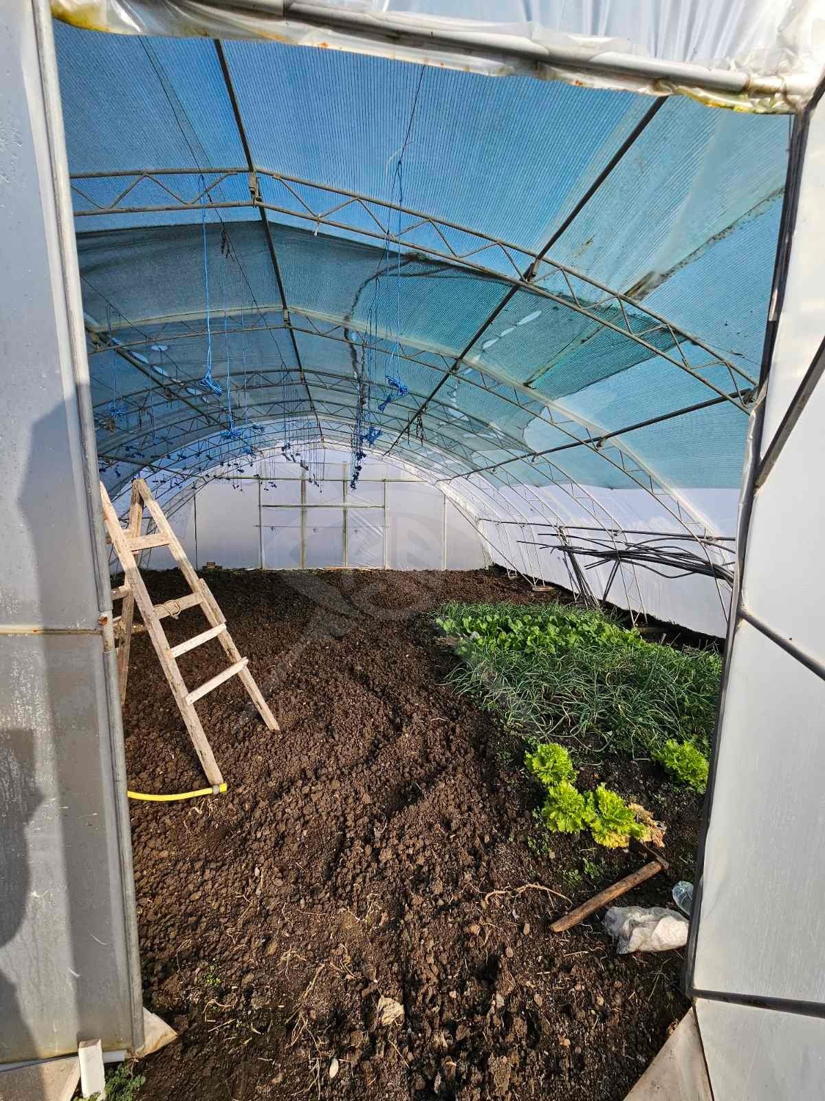 Продава ПАРЦЕЛ | Imot.bg — изображение 7