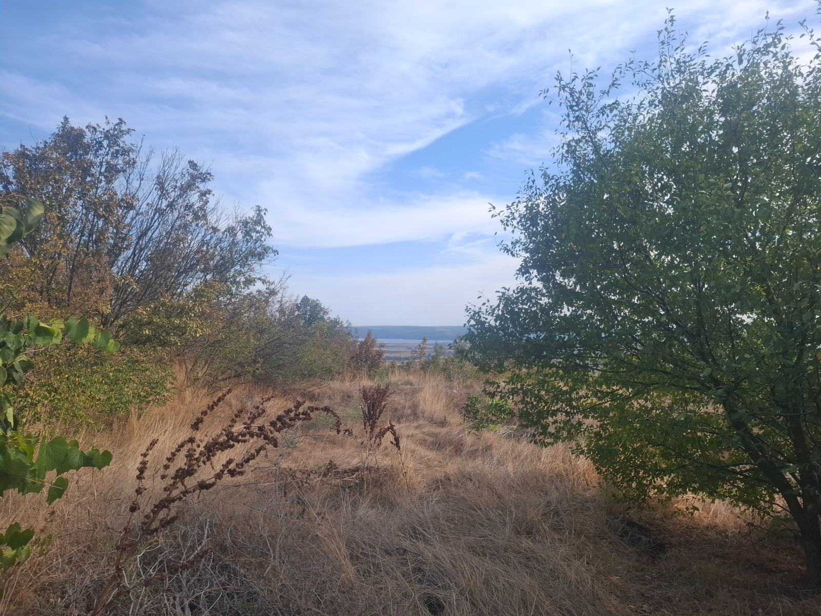 ������� ������ | Imot.bg � ����������� 4