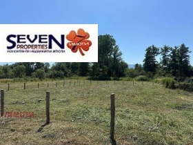 ������ ������� ������