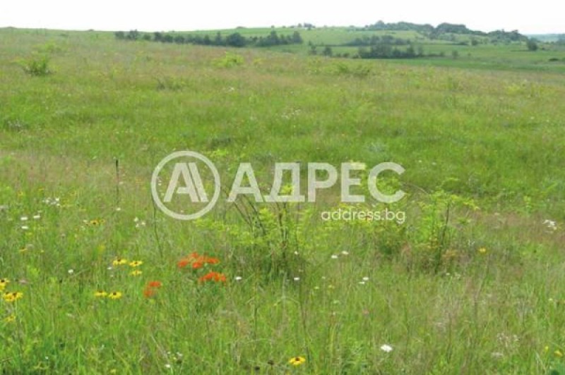 Продава  Парцел град София , с. Герман , 2633 кв.м | 58154366 - изображение [3]