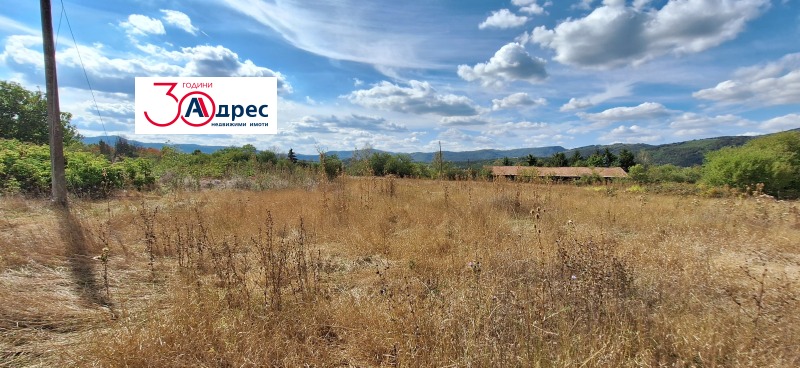 Na prodej  Spiknutí oblast Veliko Tarnovo , Elena , 4799 m2 | 60014312 - obraz [3]