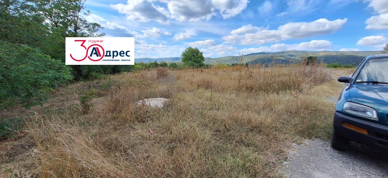 Na prodej  Spiknutí oblast Veliko Tarnovo , Elena , 4799 m2 | 60014312 - obraz [2]