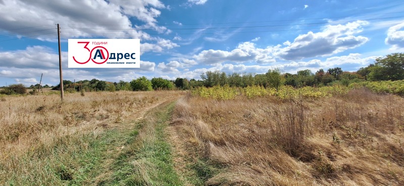 Na prodej  Spiknutí oblast Veliko Tarnovo , Elena , 4799 m2 | 60014312 - obraz [4]