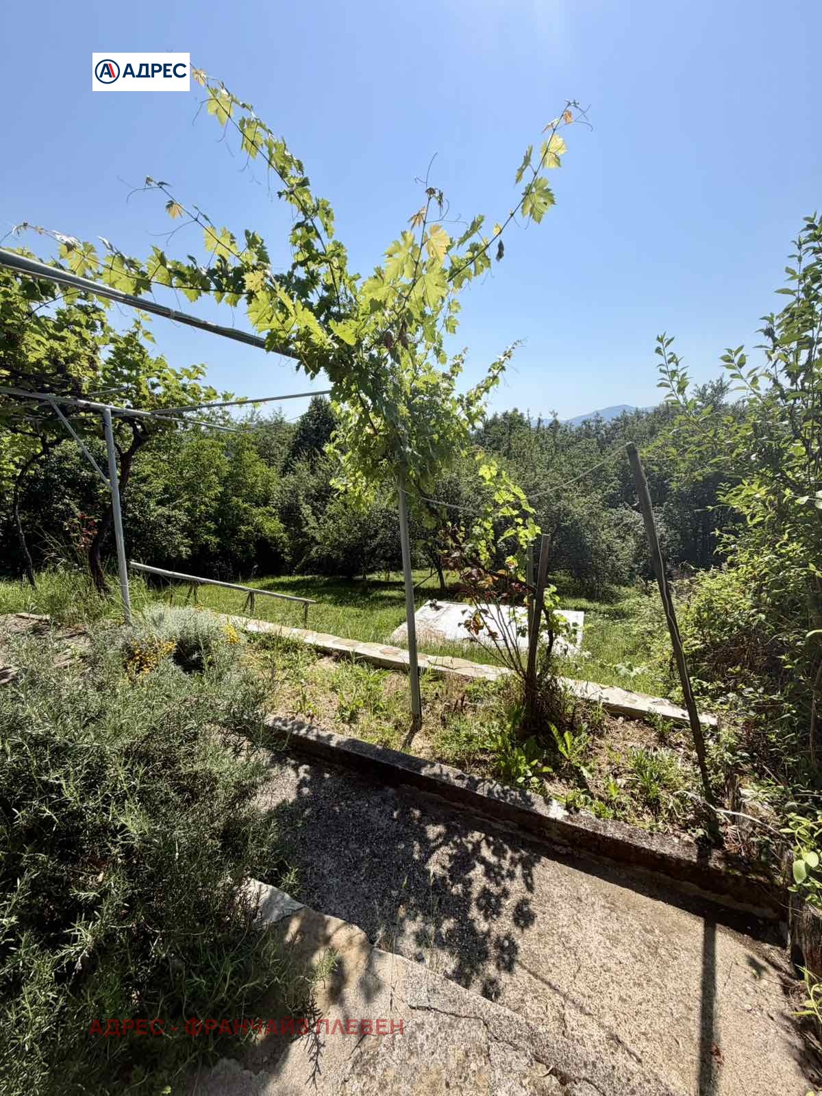Продава КЪЩА, с. Белиш, област Ловеч, снимка 6 - Къщи - 53562912