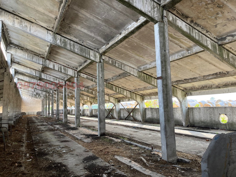 Продава БИЗНЕС ИМОТ, с. Съдиево, област Сливен, снимка 5 - Други - 52783976