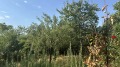 Продава КЪЩА, област Пловдив, гр. Карлово • 200000 € • 25976231 — Holmes.bg