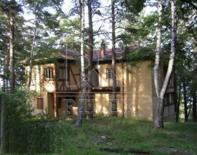 Juoni Bojkovo, Plovdivin alue
