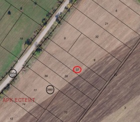 ����� ������� ������,���� �����, �������