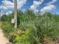 Продава ПАРЦЕЛ, област Добрич, с. Соколово • 21000 € • 25563739 — Holmes.bg