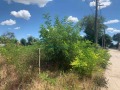 Продава ПАРЦЕЛ, област Добрич, с. Соколово • 21000 € • 25563739 — Holmes.bg
