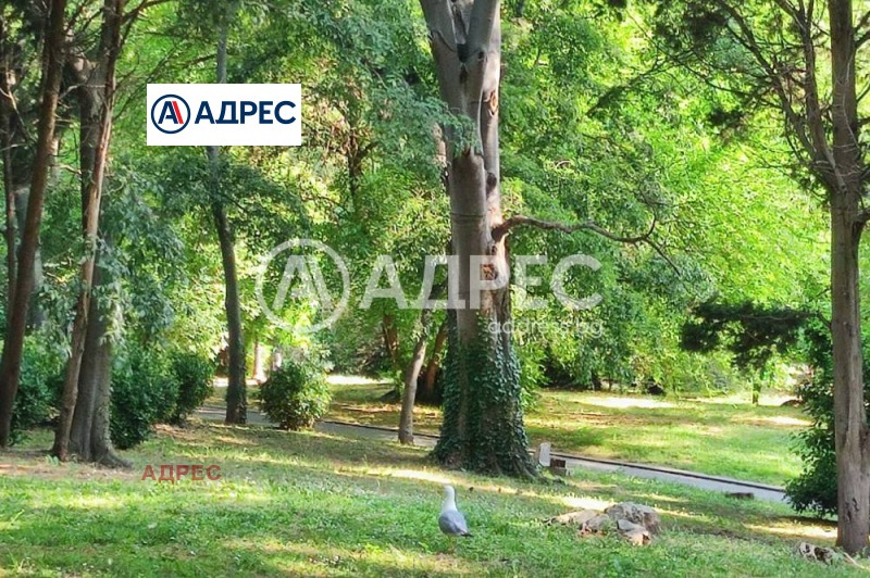 Продава  Къща град Варна , Гръцка махала , 170 кв.м | 67850177 - изображение [6]