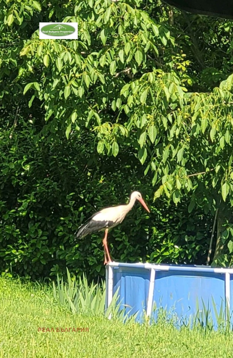 Продава КЪЩА, с. Николово, област Русе, снимка 15 - Къщи - 52737806