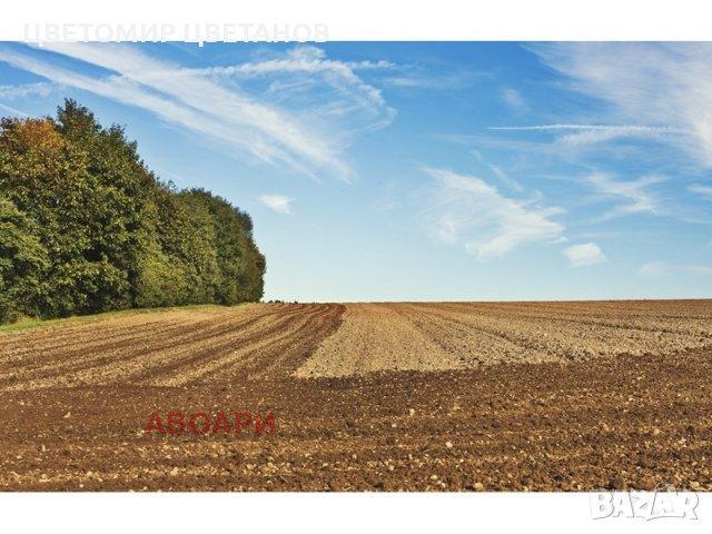 Продава ЗЕМЕДЕЛСКА ЗЕМЯ, с. Василево, област Добрич, снимка 1 - Земеделска земя - 43925240