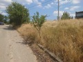 Продава ПАРЦЕЛ, гр. София, с. Подгумер, снимка 5