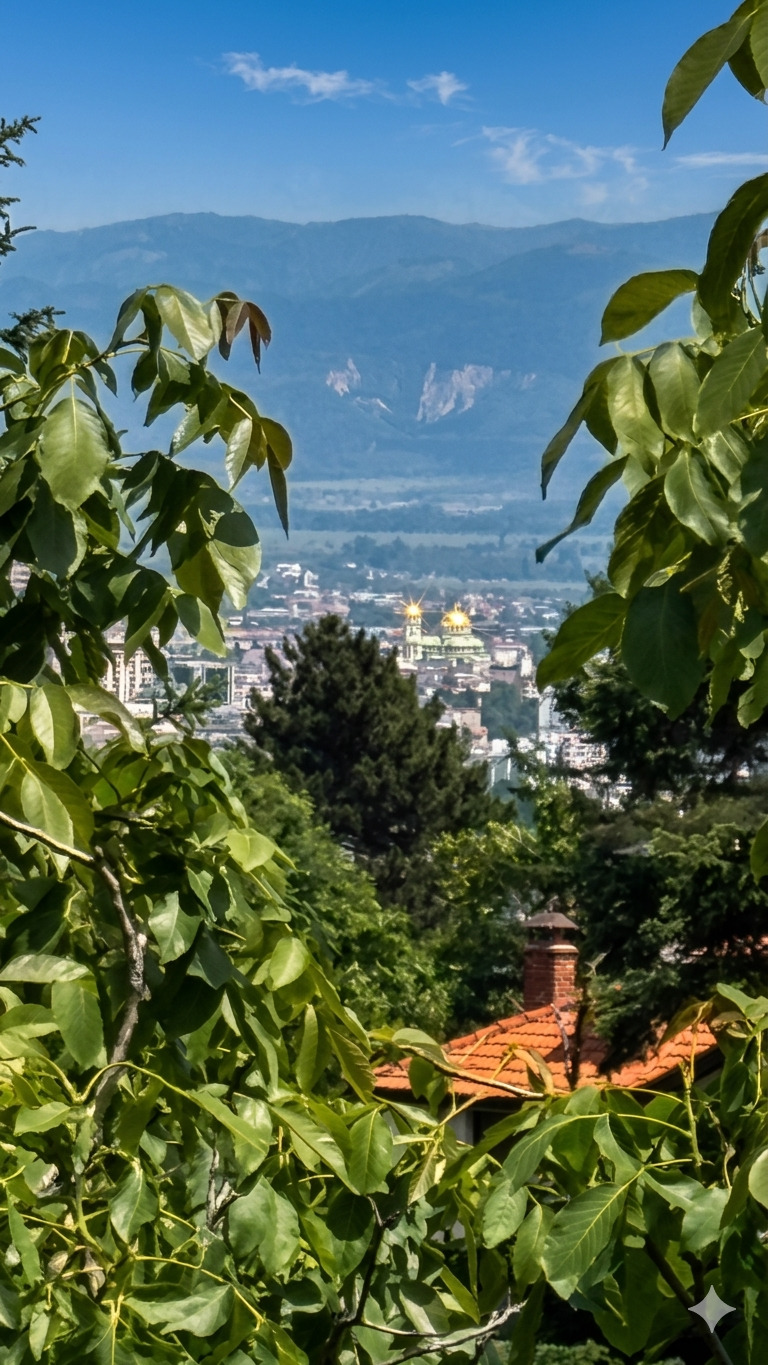 ������� ���� | Imot.bg � ����������� 7