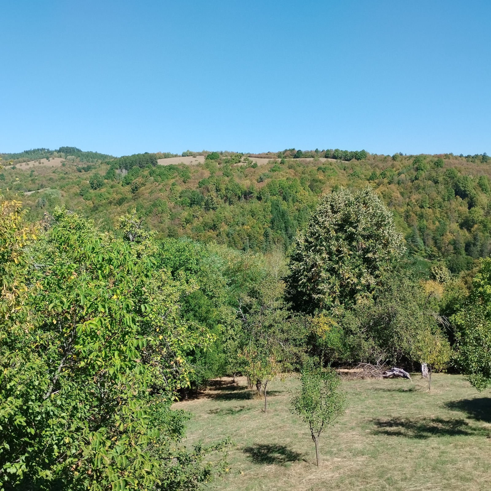 ������� ���� | Imot.bg � ����������� 10