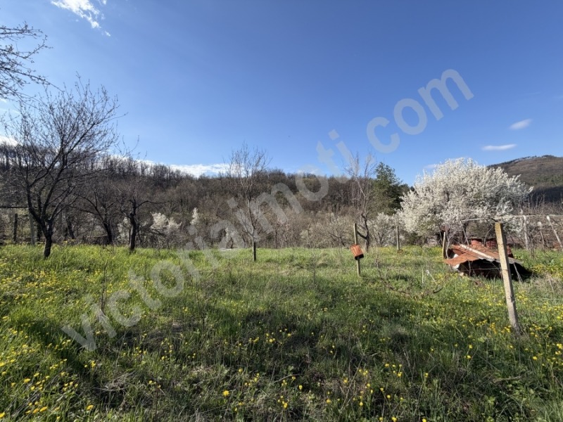 Продава ПАРЦЕЛ в област Велико Търново, с. Габровци - 1000 кв.м / 12 000 € » 23 469.96 лв., ВИКТОРИЯ ИМОТИ ЕООД