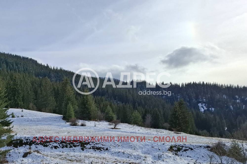 ������� ������ | Imot.bg � ����������� 1