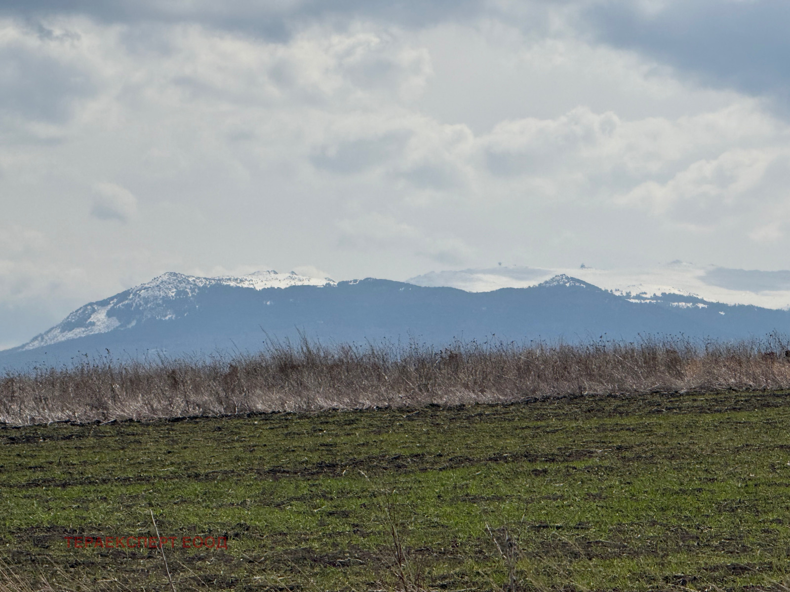 ������� ������ | Imot.bg � ����������� 6