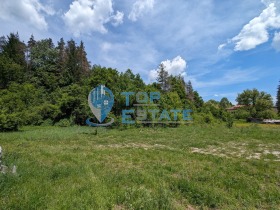 Plot Belitsa, region Gabrovo 1