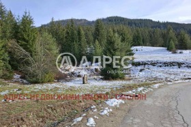 ������� ������ | Imot.bg � ����� ������ 6