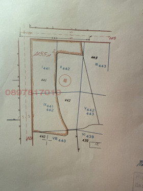 ������ ������� ������