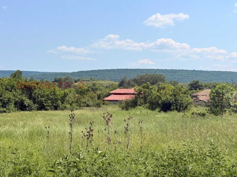 Продава ПАРЦЕЛ, с. Дралфа, област Търговище, снимка 2 - Парцели - 52991929