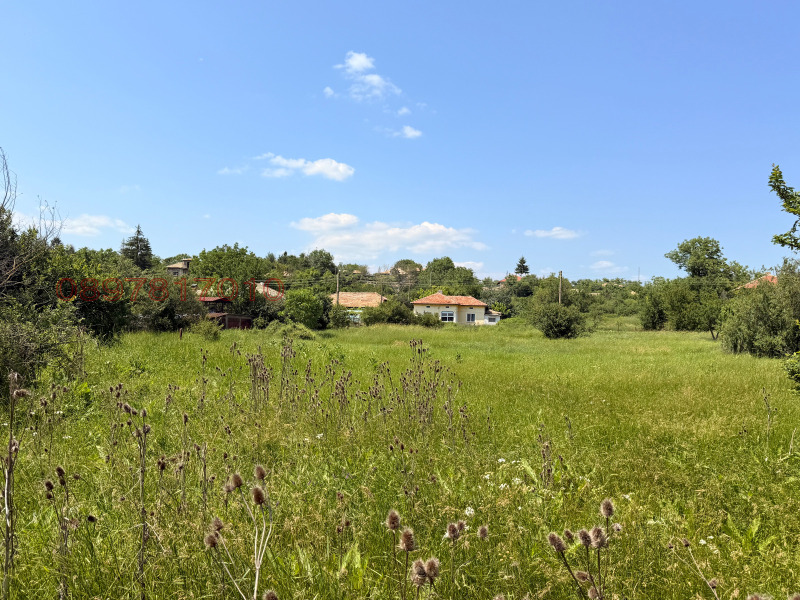 Продава ПАРЦЕЛ, с. Дралфа, област Търговище, снимка 3 - Парцели - 52991929