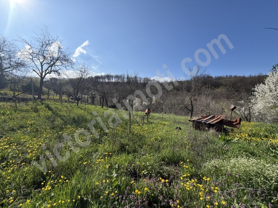 Продава ПАРЦЕЛ, с. Габровци, област Велико Търново, снимка 2 - Парцели - 54137367