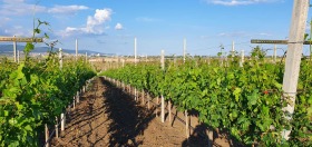 ������� ���� | Imot.bg � ����� ������ 7