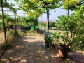 Продава КЪЩА, област Стара Загора, с. Дълбоки • 85000 € • 95686605 — Holmes.bg