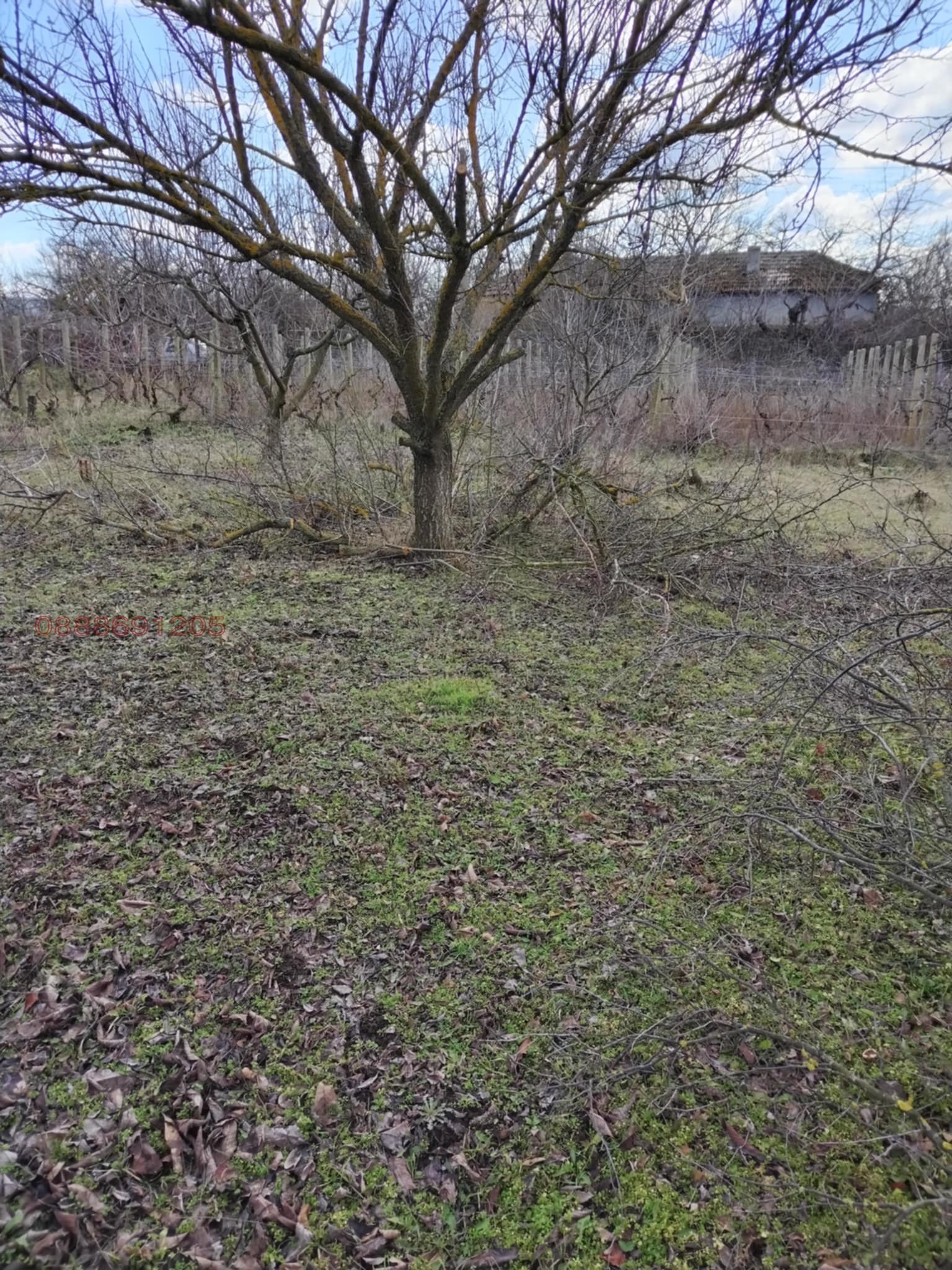 ������� ������ | Imot.bg � ����������� 5