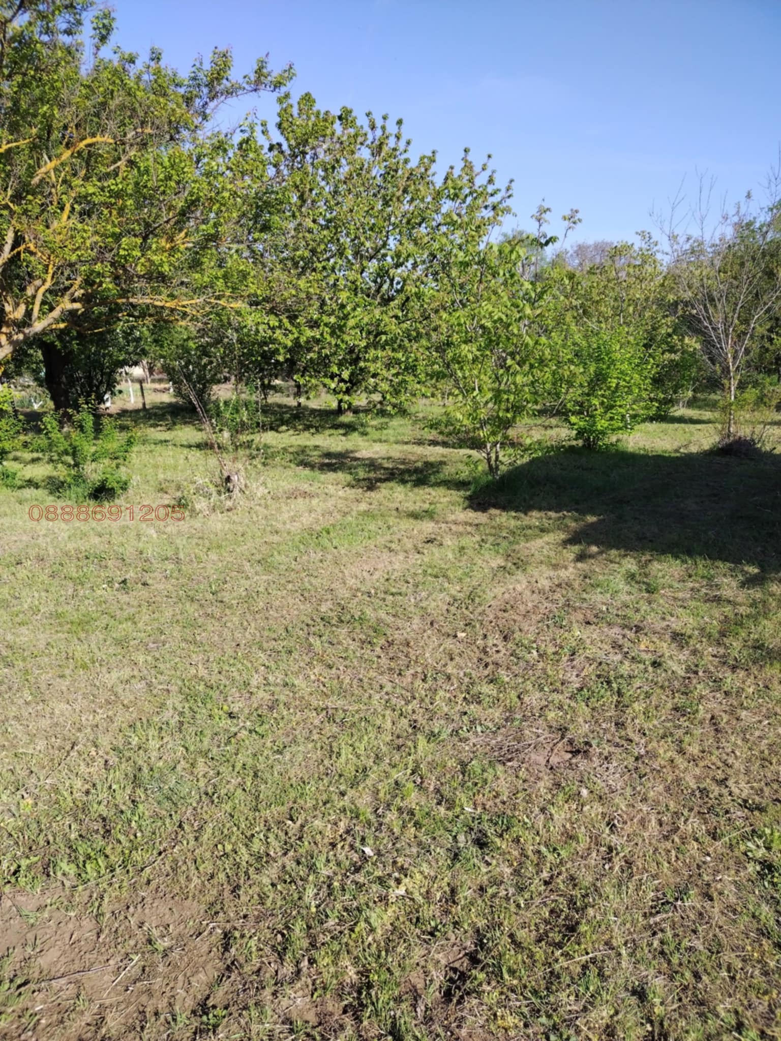 ������� ������ | Imot.bg � ����������� 11