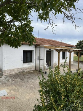 ����� ������� ����,������, ������