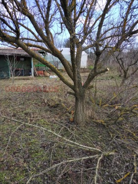 ������� ������ | Imot.bg � ����� ������ 12