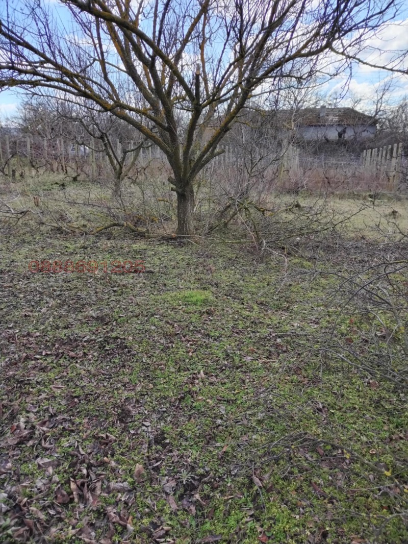 Продава ПАРЦЕЛ, с. Миладиновци, област Добрич, снимка 5 - Парцели - 53034817