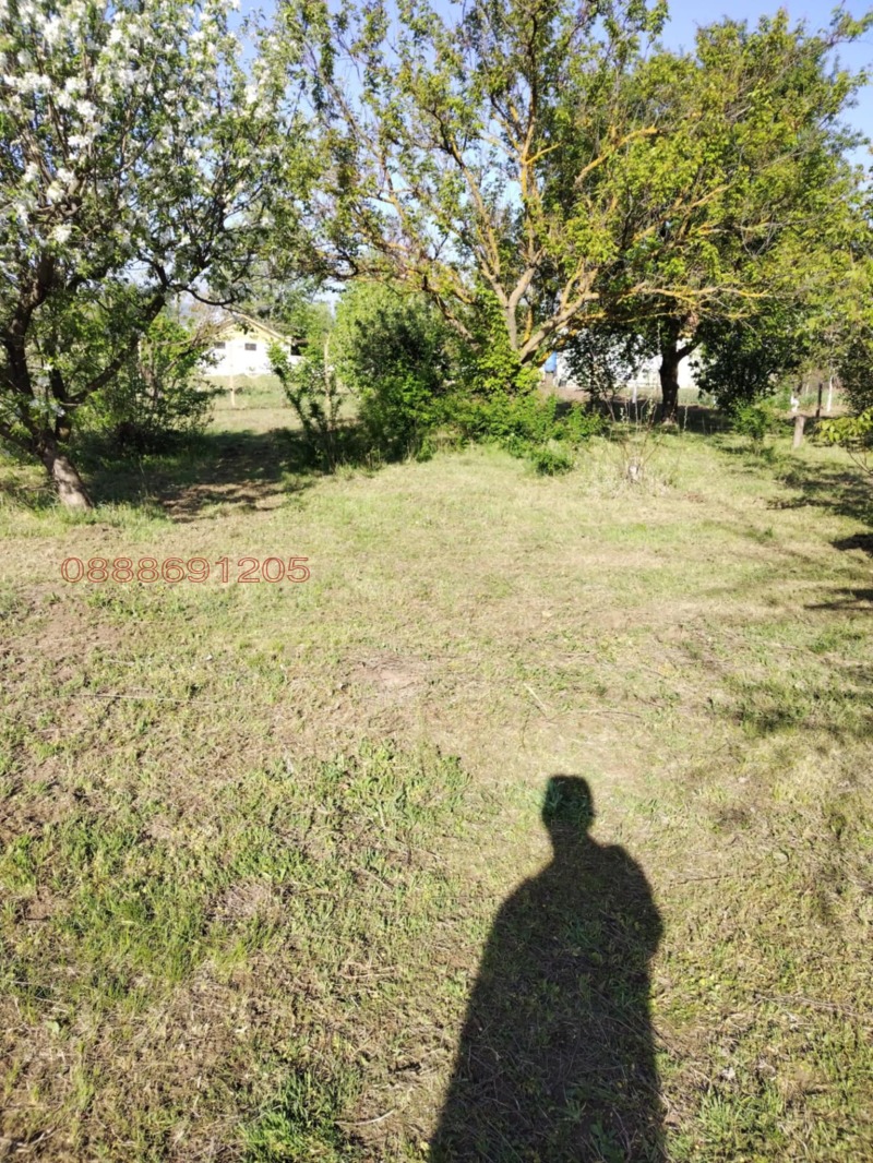 Продава ПАРЦЕЛ, с. Миладиновци, област Добрич, снимка 14 - Парцели - 53034817