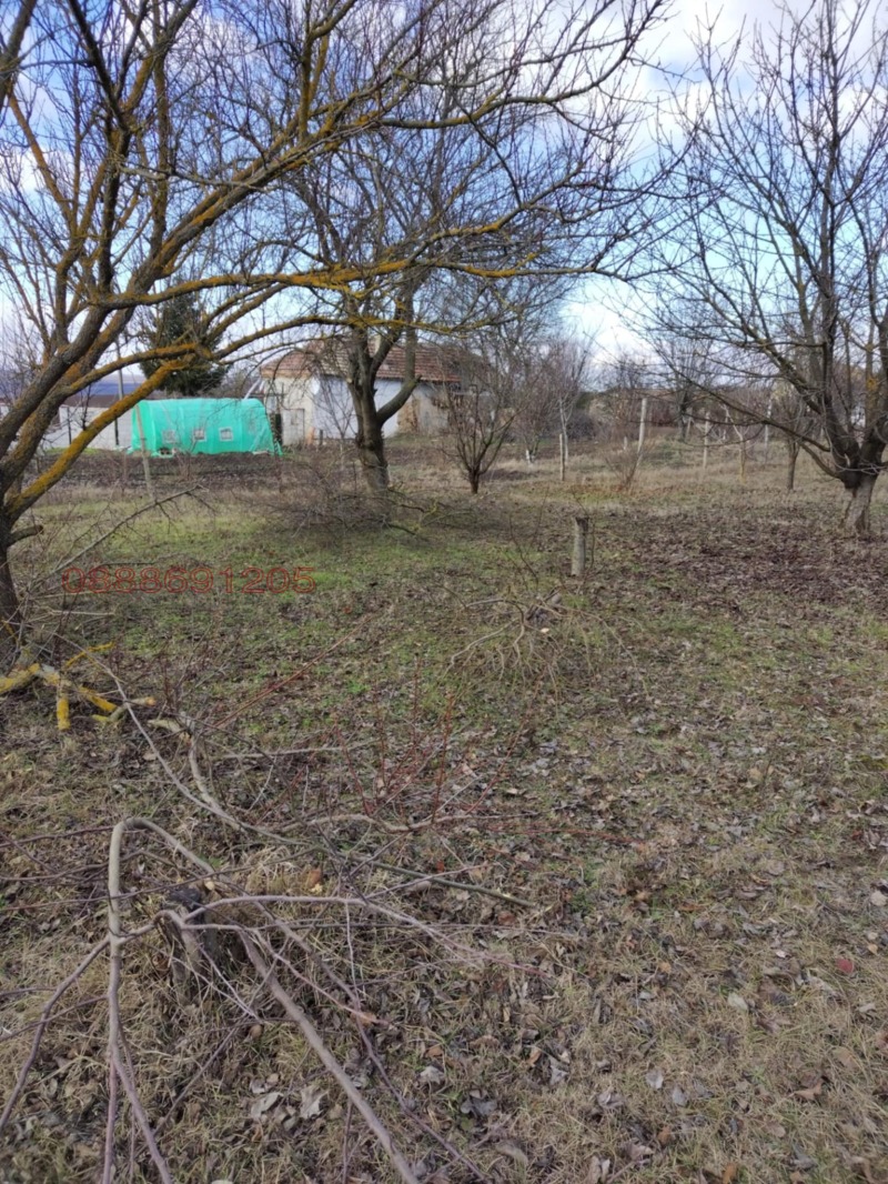 Продава ПАРЦЕЛ, с. Миладиновци, област Добрич, снимка 13 - Парцели - 53034817