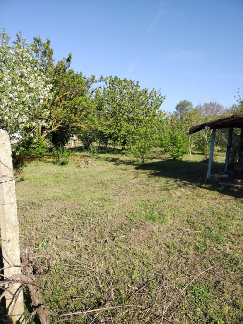 Продава ПАРЦЕЛ, с. Миладиновци, област Добрич, снимка 3 - Парцели - 53034817