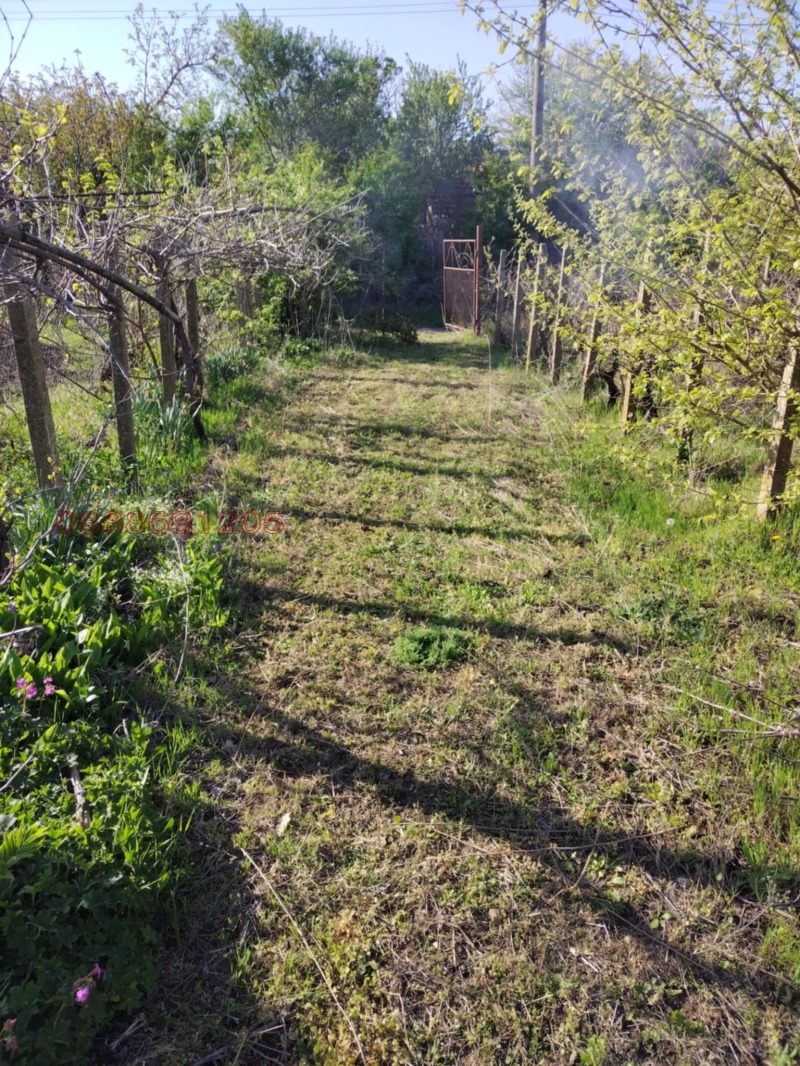 Продава ПАРЦЕЛ, с. Миладиновци, област Добрич