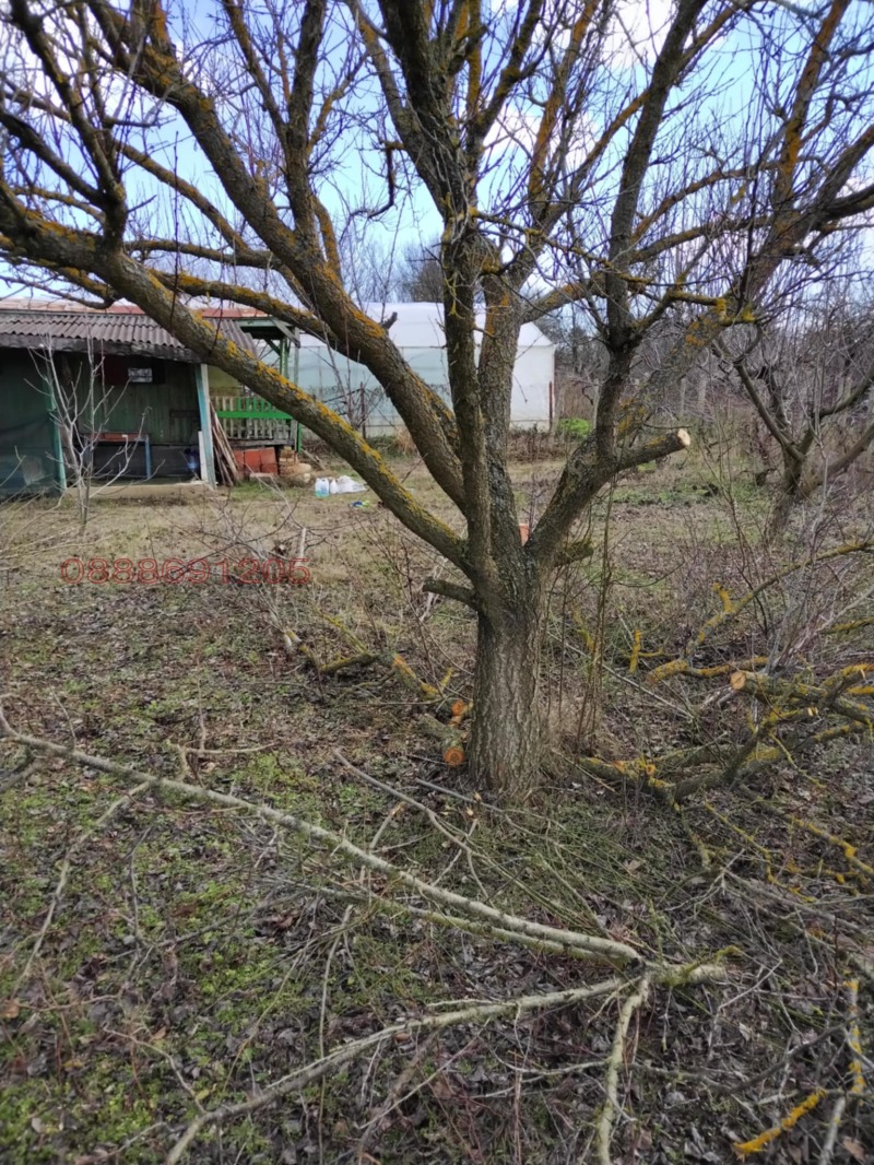 Продава ПАРЦЕЛ, с. Миладиновци, област Добрич, снимка 12 - Парцели - 53034817