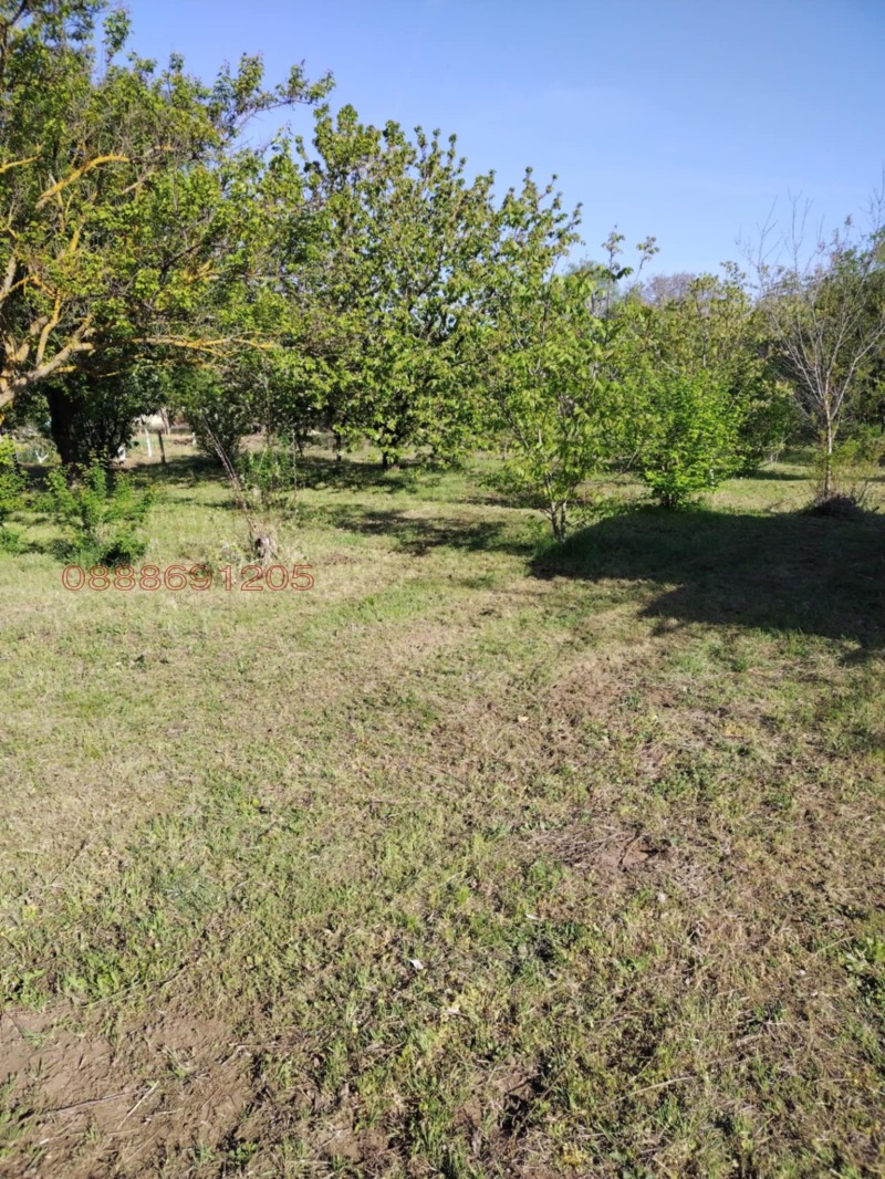 Продава ПАРЦЕЛ, с. Миладиновци, област Добрич, снимка 11 - Парцели - 53034817