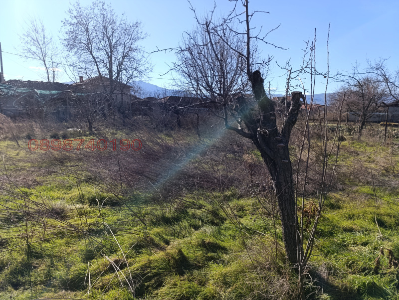 Продава ПАРЦЕЛ, с. Болярци, област Пловдив, снимка 7 - Парцели - 53109406