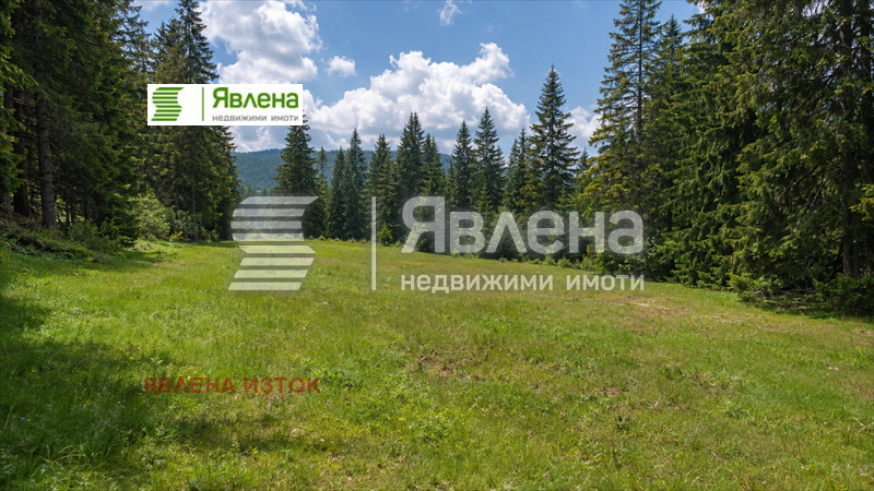 ������� ������ | Imot.bg � ����������� 2